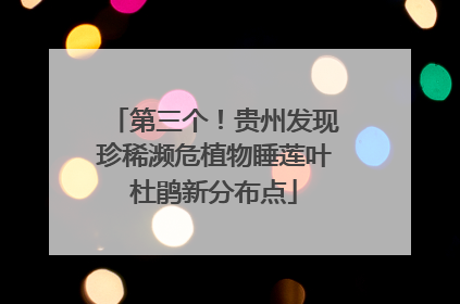 第三个！贵州发现珍稀濒危植物睡莲叶杜鹃新分布点