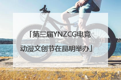 第三届YNZCG电竞动漫文创节在昆明举办