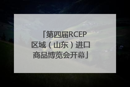 第四届RCEP区域（山东）进口商品博览会开幕