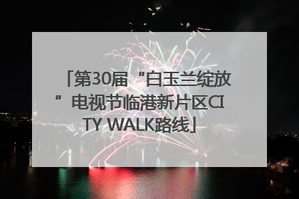 第30届“白玉兰绽放”电视节临港新片区CITY WALK路线