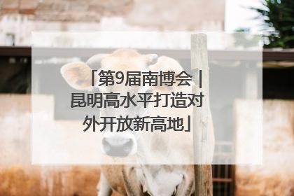 第9届南博会｜昆明高水平打造对外开放新高地