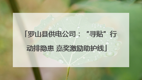 罗山县供电公司：“寻贴”行动排隐患 嘉奖激励助护线