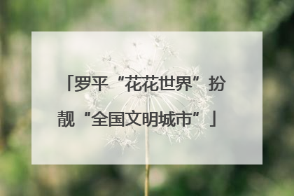 罗平“花花世界”扮靓“全国文明城市”