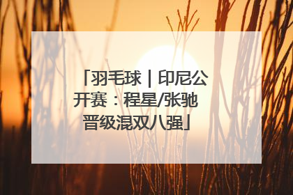 羽毛球｜印尼公开赛：程星/张驰晋级混双八强