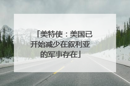 美特使：美国已开始减少在叙利亚的军事存在