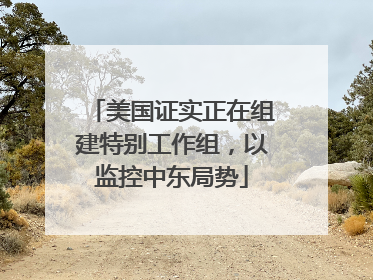 美国证实正在组建特别工作组，以监控中东局势