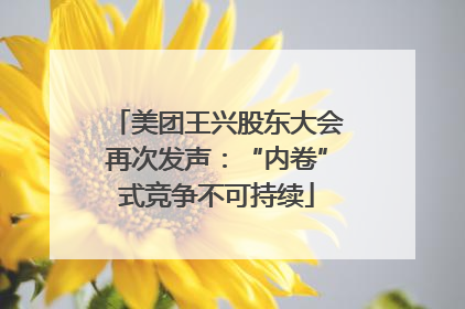 美团王兴股东大会再次发声：“内卷”式竞争不可持续