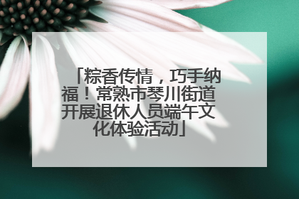 粽香传情，巧手纳福！常熟市琴川街道开展退休人员端午文化体验活动