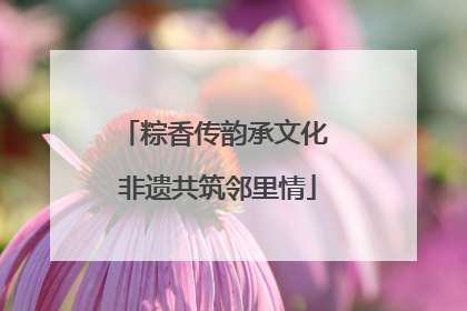 粽香传韵承文化 非遗共筑邻里情
