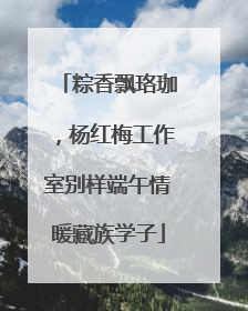 粽香飘珞珈，杨红梅工作室别样端午情暖藏族学子