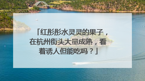 红彤彤水灵灵的果子，在杭州街头大量成熟，看着诱人但能吃吗？
