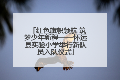 红色旗帜领航 筑梦少年新程——怀远县实验小学举行新队员入队仪式