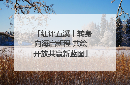 红评五溪丨转身向海启新程 共绘开放共赢新蓝图