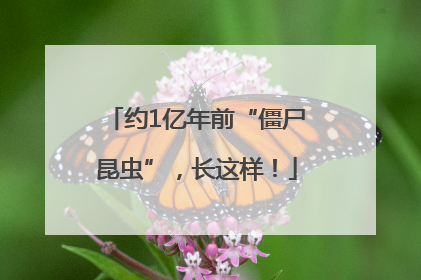 约1亿年前“僵尸昆虫”，长这样！