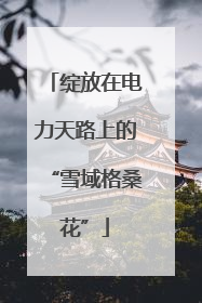 绽放在电力天路上的“雪域格桑花”