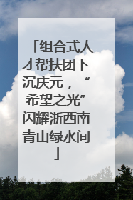 组合式人才帮扶团下沉庆元，“希望之光”闪耀浙西南青山绿水间