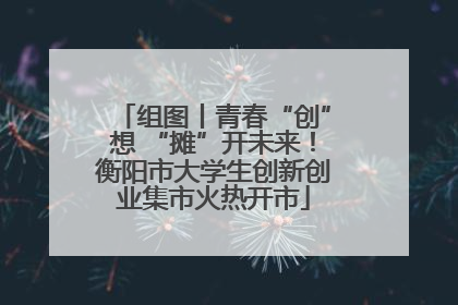 组图丨青春“创”想 “摊”开未来！衡阳市大学生创新创业集市火热开市