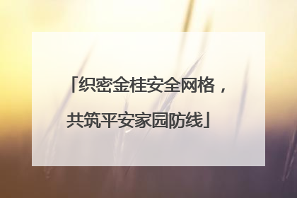 织密金桂安全网格，共筑平安家园防线