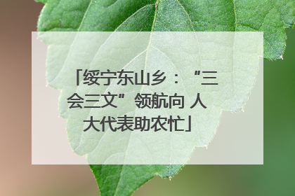 绥宁东山乡：“三会三文”领航向 人大代表助农忙