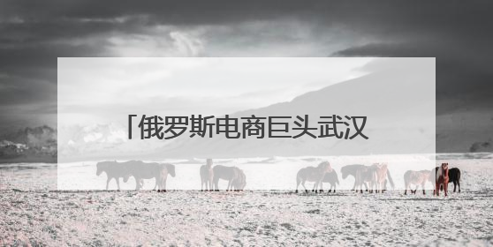 俄罗斯电商巨头武汉产业孵化基地落地江夏，今年预计入驻上千家湖北跨境卖家