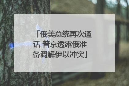 俄美总统再次通话 普京透露俄准备调解伊以冲突