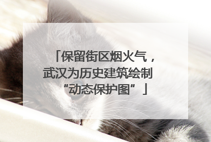 保留街区烟火气，武汉为历史建筑绘制“动态保护图”