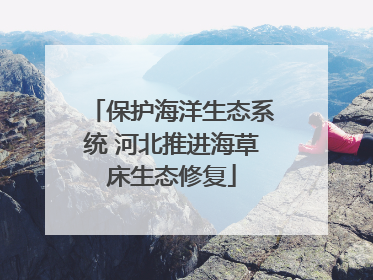 保护海洋生态系统 河北推进海草床生态修复