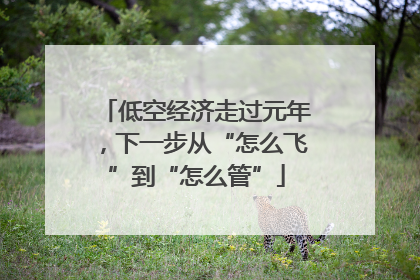 低空经济走过元年，下一步从“怎么飞”到“怎么管”