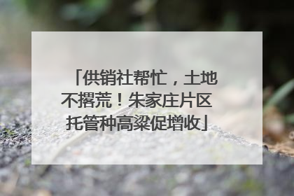 供销社帮忙，土地不撂荒！朱家庄片区托管种高粱促增收
