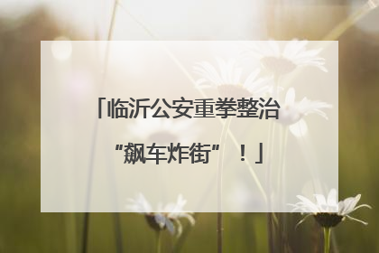 临沂公安重拳整治“飙车炸街”！