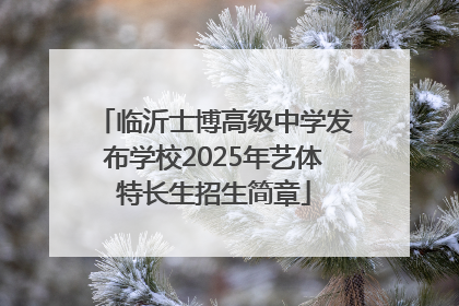 临沂士博高级中学发布学校2025年艺体特长生招生简章