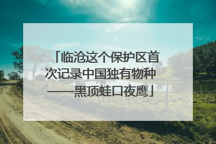 临沧这个保护区首次记录中国独有物种——黑顶蛙口夜鹰