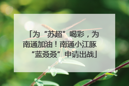 为“苏超”喝彩，为南通加油！南通小江豚“蓝叒叒”申请出战