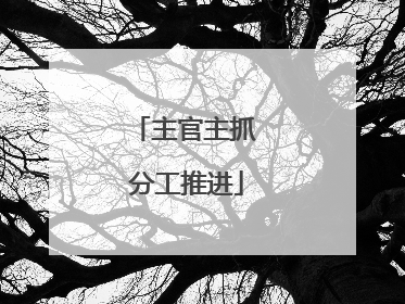 主官主抓 分工推进