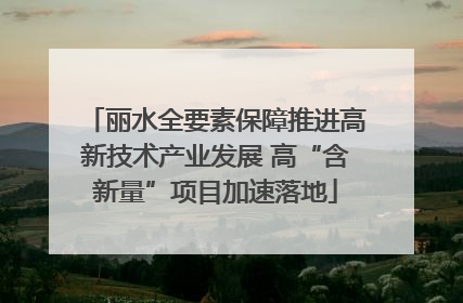 丽水全要素保障推进高新技术产业发展 高“含新量”项目加速落地