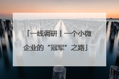 一线调研丨一个小微企业的“冠军”之路