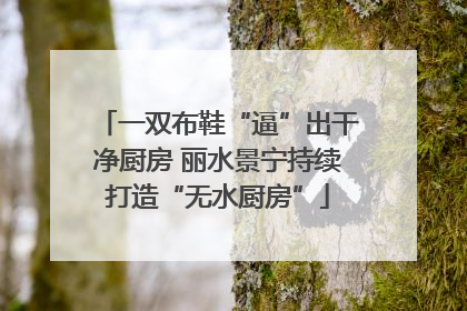 一双布鞋“逼”出干净厨房 丽水景宁持续打造“无水厨房”