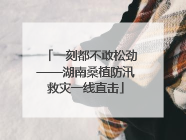 一刻都不敢松劲——湖南桑植防汛救灾一线直击