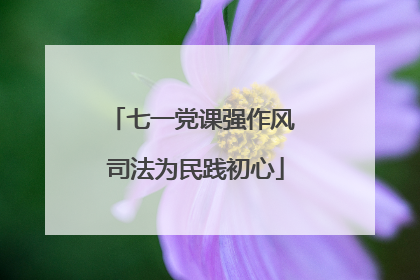 七一党课强作风 司法为民践初心