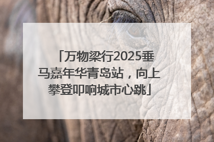 万物梁行2025垂马嘉年华青岛站，向上攀登叩响城市心跳