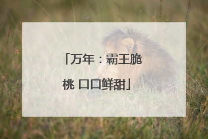万年：霸王脆桃 口口鲜甜