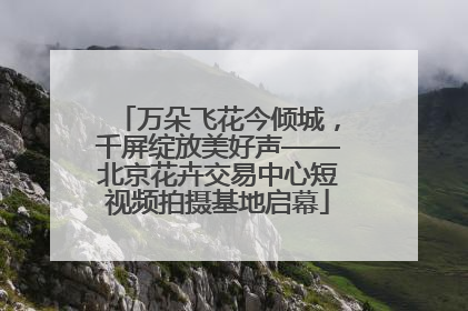 万朵飞花今倾城，千屏绽放美好声——北京花卉交易中心短视频拍摄基地启幕
