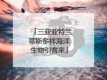 三亚亚特兰蒂斯多样海洋生物引客来