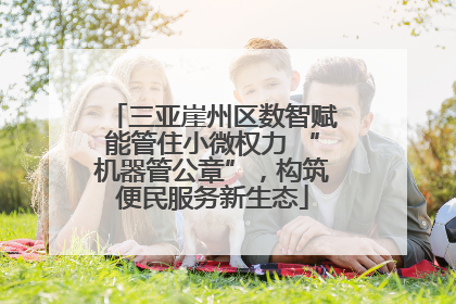 三亚崖州区数智赋能管住小微权力 “机器管公章”，构筑便民服务新生态