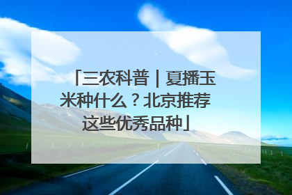 三农科普｜夏播玉米种什么？北京推荐这些优秀品种