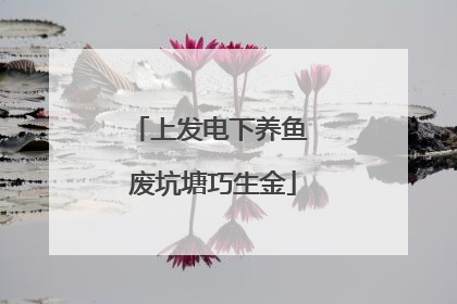 上发电下养鱼 废坑塘巧生金