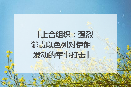 上合组织：强烈谴责以色列对伊朗发动的军事打击