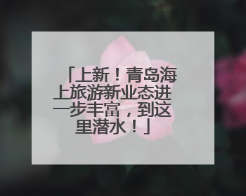 上新！青岛海上旅游新业态进一步丰富，到这里潜水！