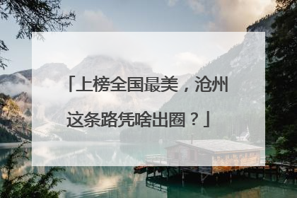 上榜全国最美，沧州这条路凭啥出圈？