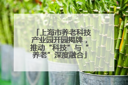 上海市养老科技产业园开园揭牌，推动“科技”与“养老”深度融合